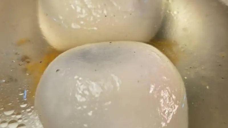 WhatsApp Image 2025 01 29 at 6.12.55 PM 1